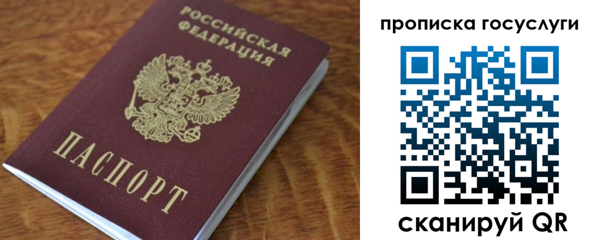 временная регистрация гарантия в Камчатской области